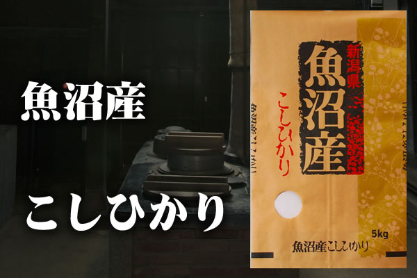魚沼産コシヒカリ